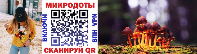 Галлюциногенные грибы прущие грибы  Купить где  Безенчук 